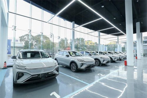 飛凡汽車的非凡服務(wù) 開啟高品質(zhì)個性化汽車服務(wù)新體驗(yàn)