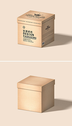 2022年最新紙板產(chǎn)品展示樣機(jī)素材 創(chuàng)意、實(shí)用與設(shè)計(jì)靈感的完美融合
